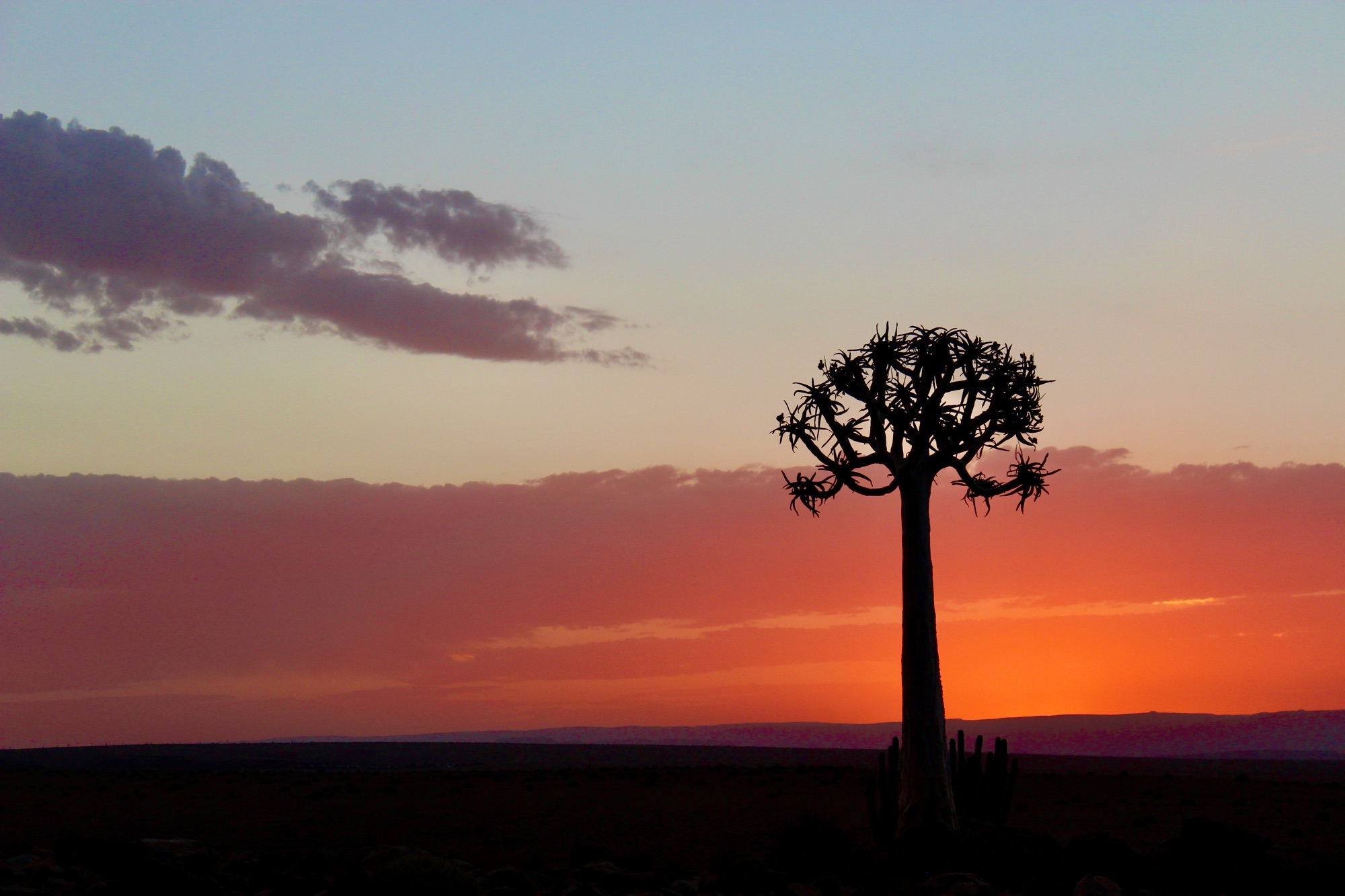 4029477b-9bb2-4ffe-8236-11f6794d3431_1_201_a