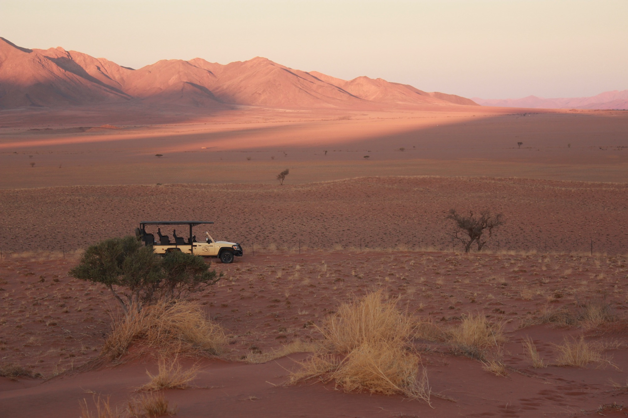 97c2e121-8c7b-4fba-af07-ebec940b0388_1_201_a