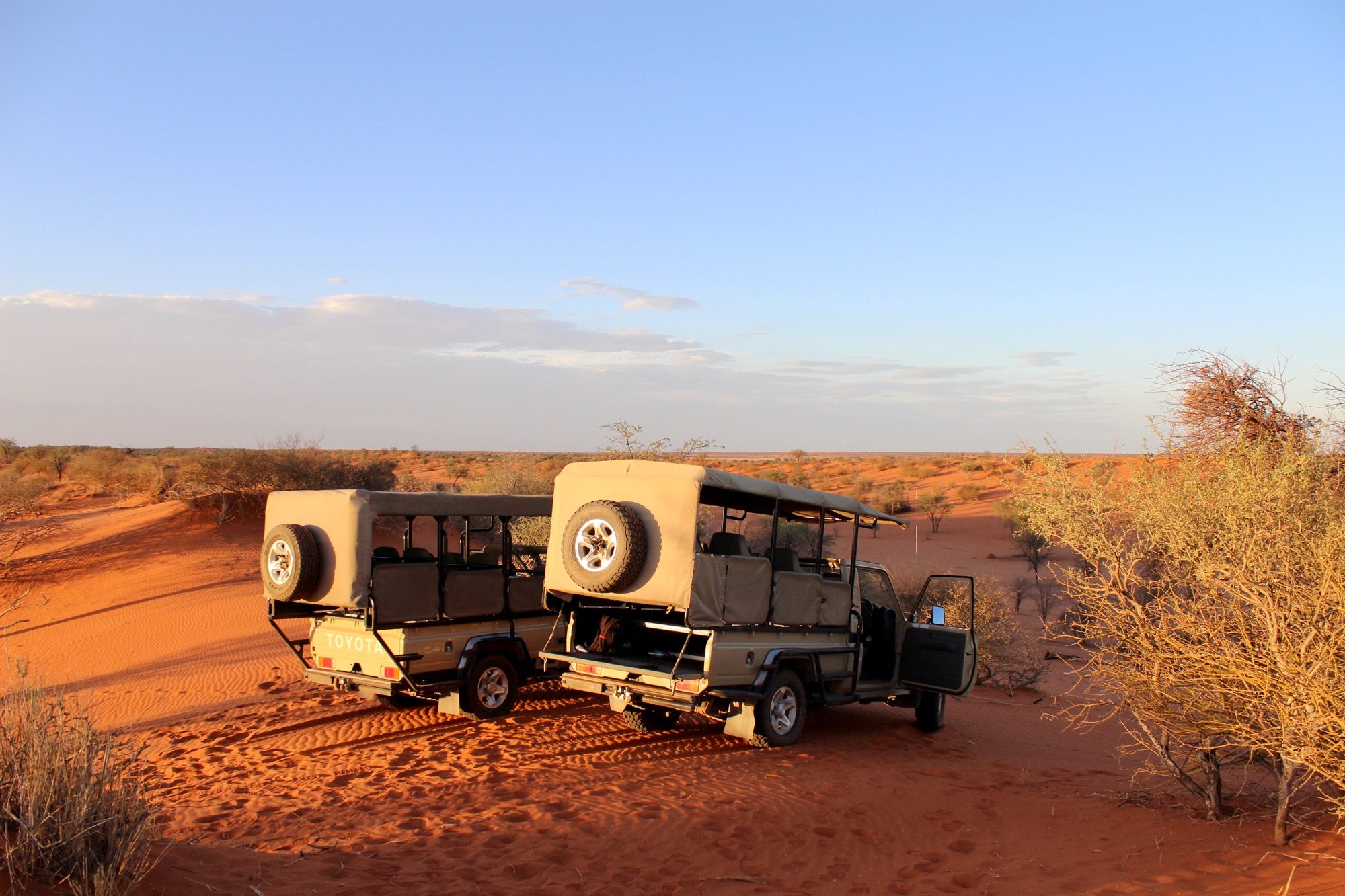 ba51473e-bc5c-4cd0-8395-ddf7a5f05497_1_201_a