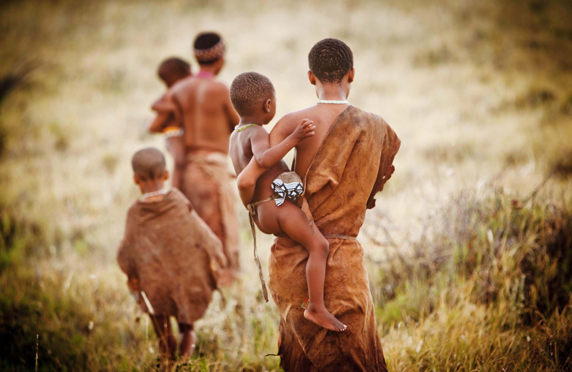 bushman-experience-4