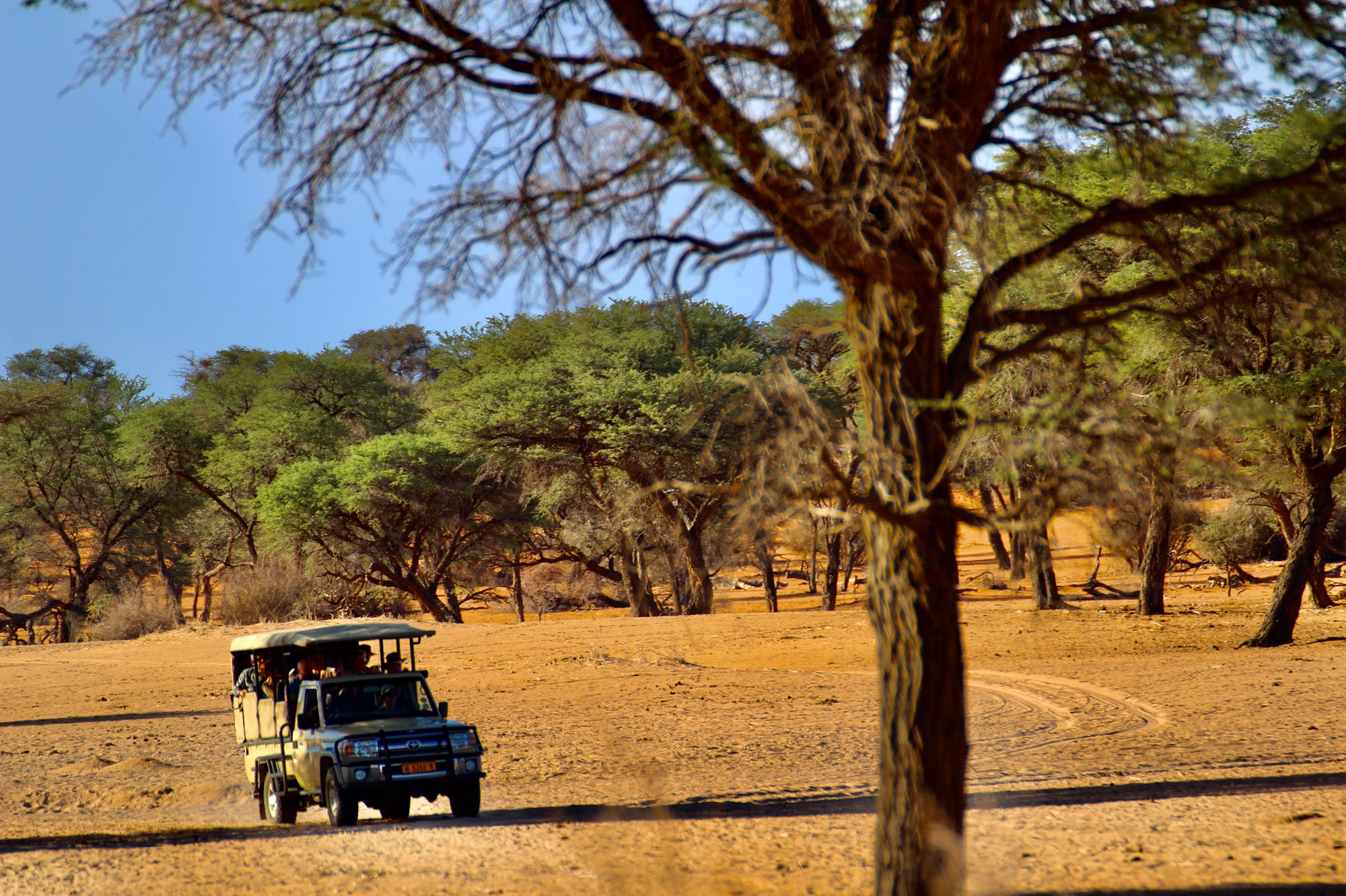 c4e34e15-c2e6-4e89-b458-8e654578109f_1_201_a