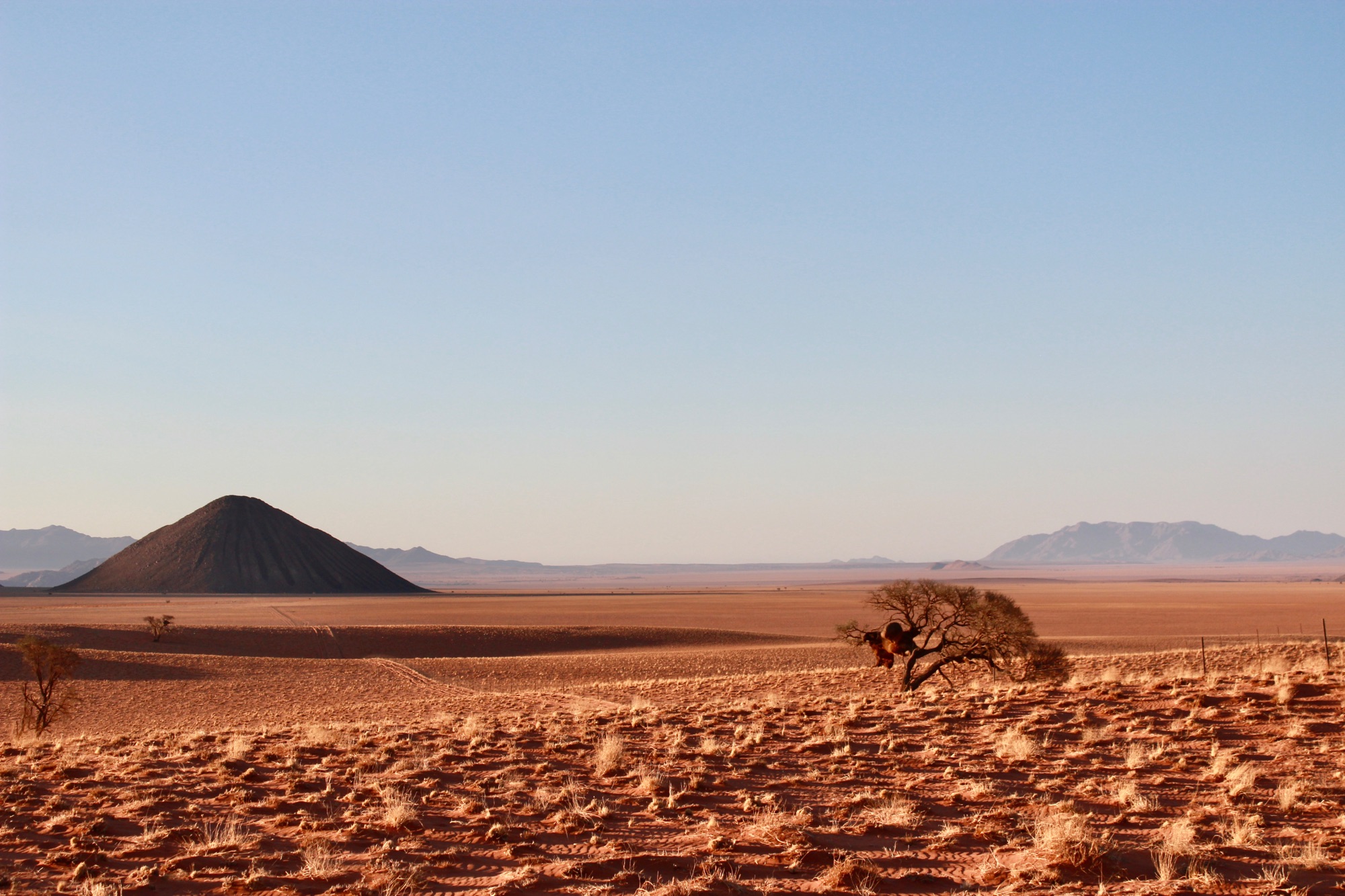 e09fdeea-d54c-4732-8f23-d6bbdc0b9a25_1_201_a