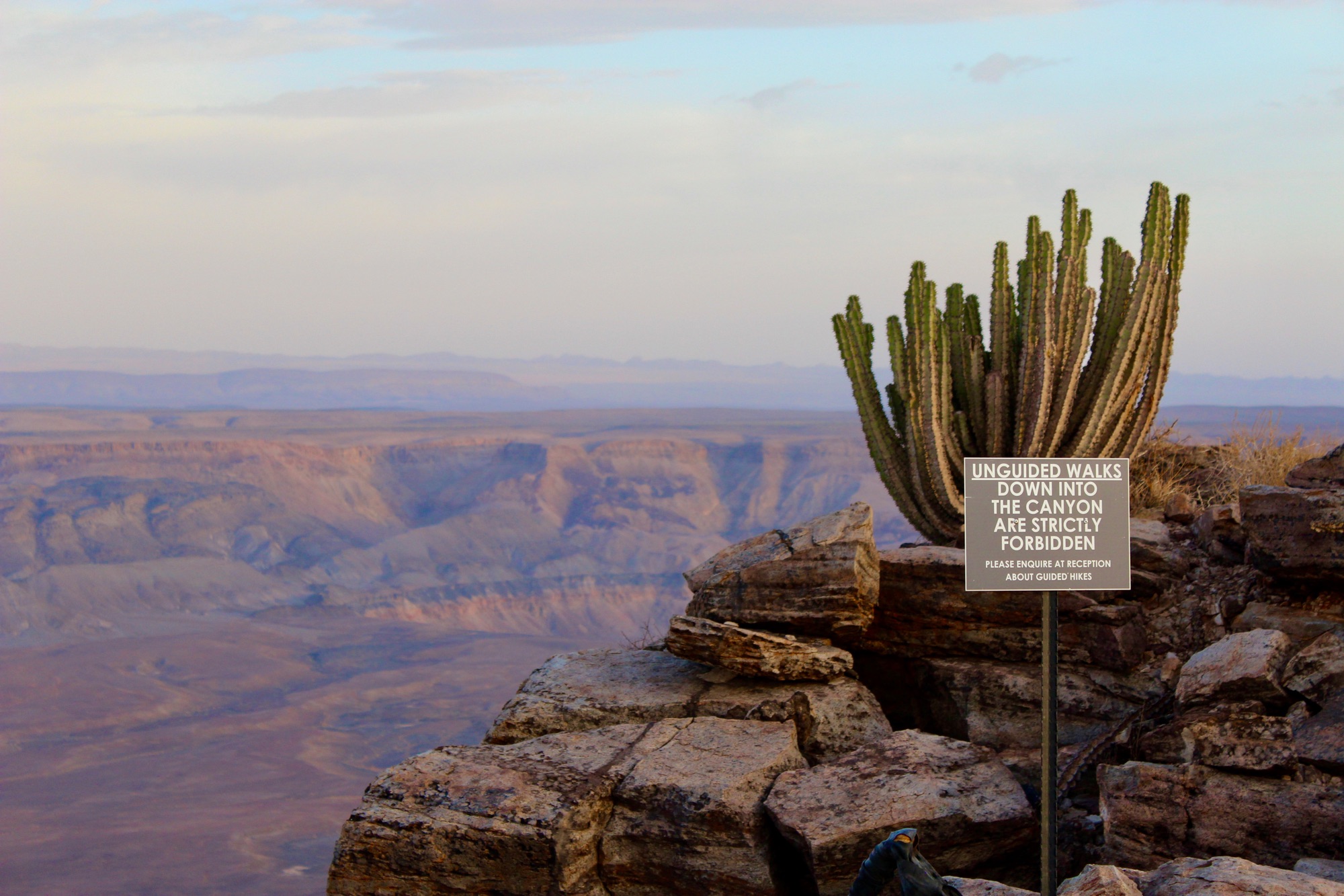 e32f5a71-8229-4f1f-8ab3-ee8b1eded357_1_201_a