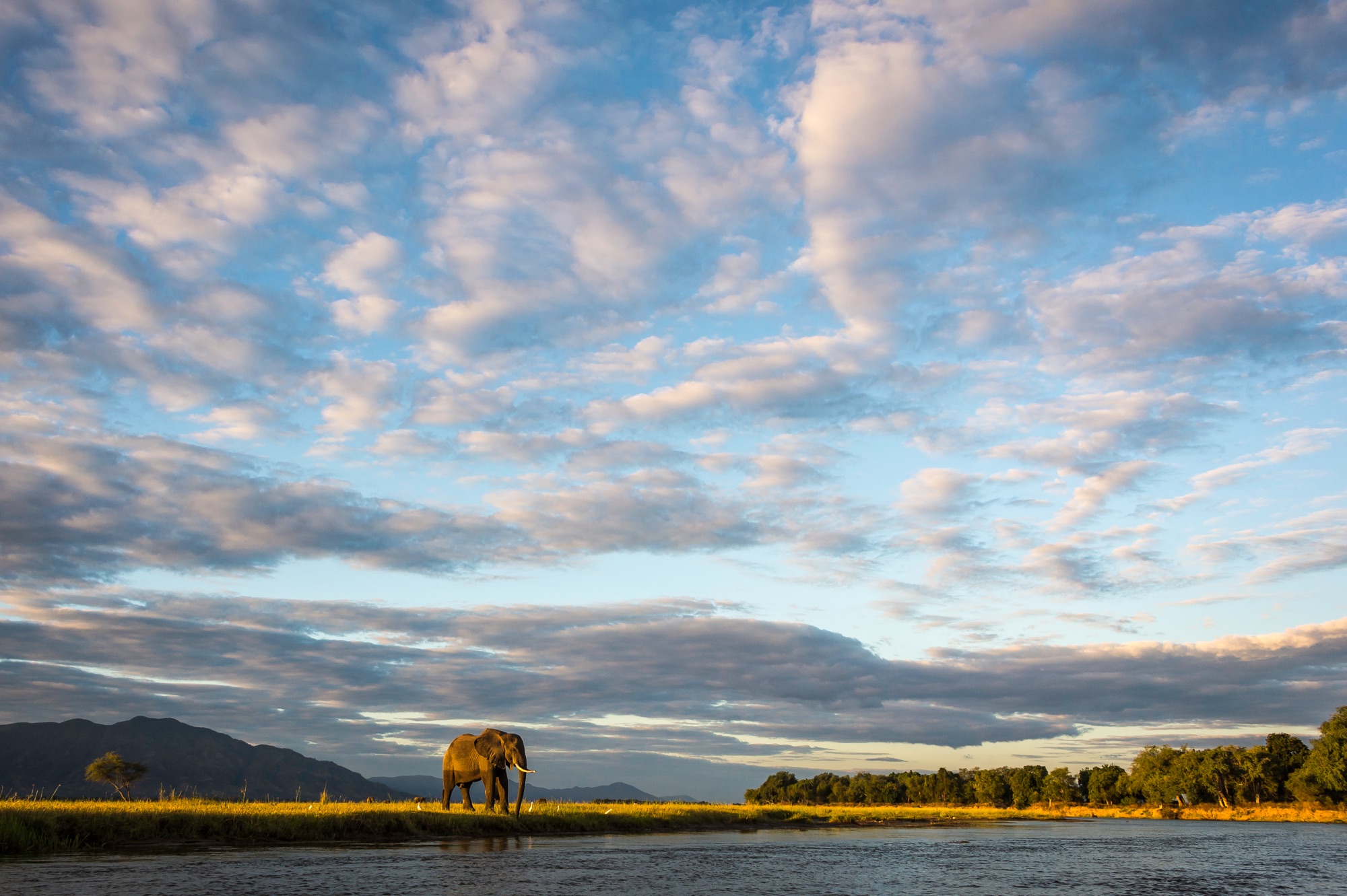 Mana Pools
