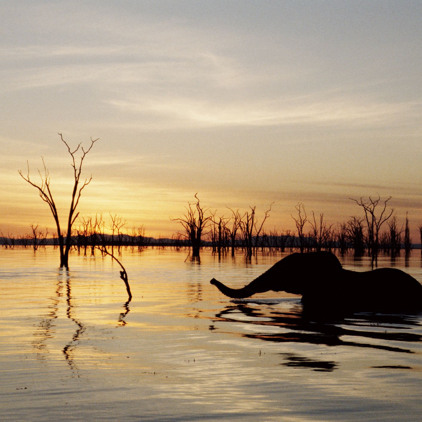 gettyimages-10174841-591c9e2e3df78cf5fae1be51