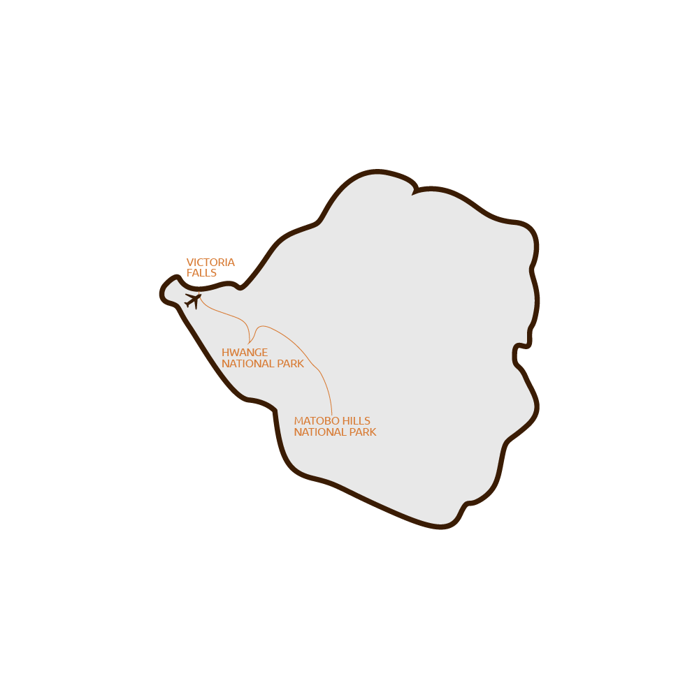 rhinoelephant-experience