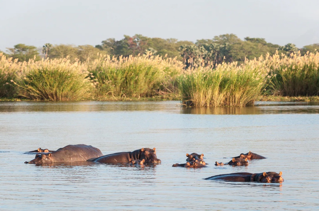 schermata-2021-04-02-alle-15.56.56
