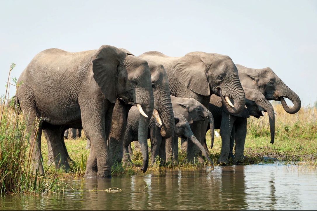 schermata-2021-04-02-alle-15.57.10