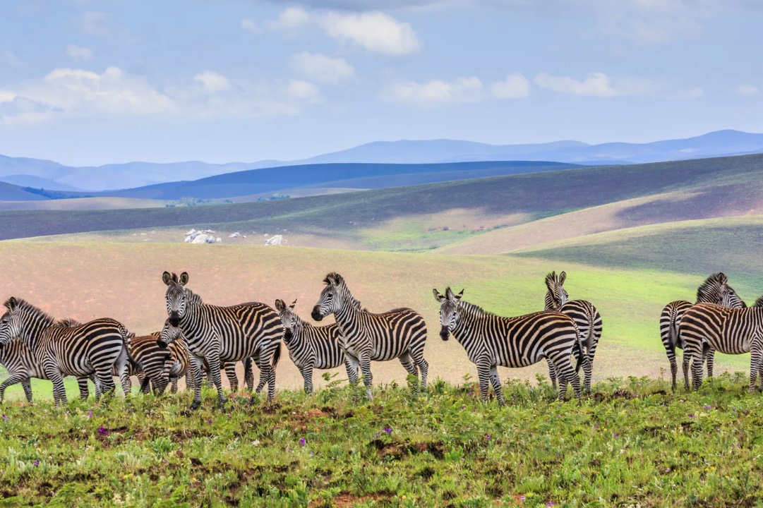 schermata-2021-04-02-alle-15.58.53