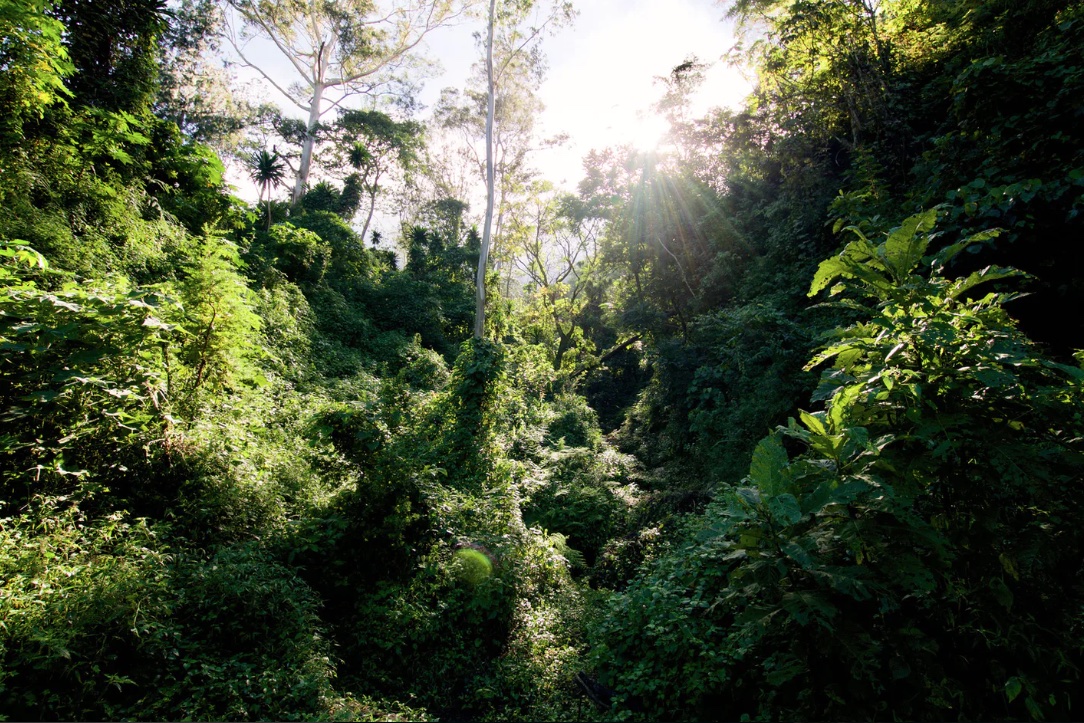 schermata-2021-04-02-alle-15.59.02