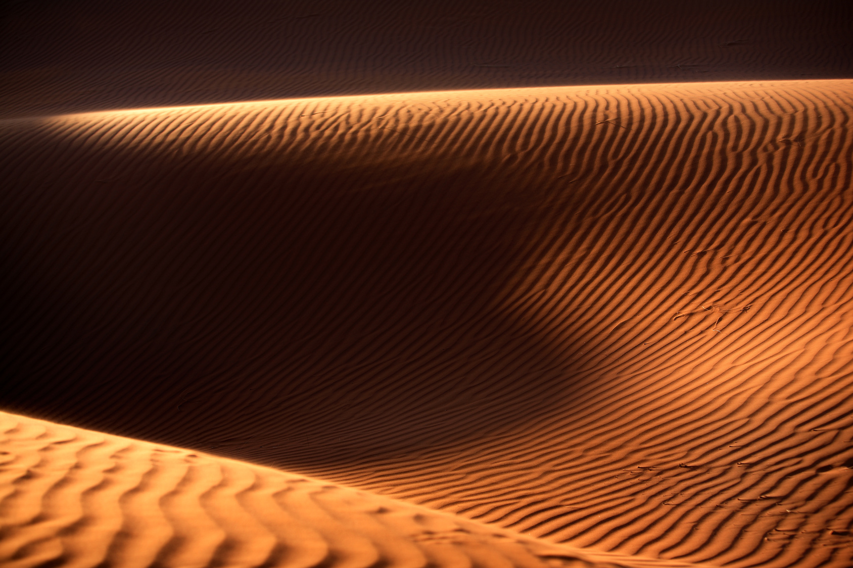 Marzo 2007  Namibia (Africa)