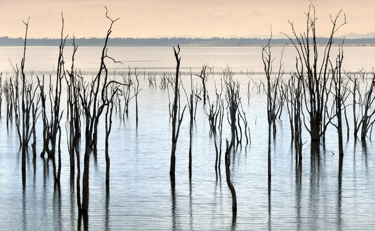 1.-bumi-hills-safari-lodge_lake-kariba_zimbabwe_luxury-safari-lodge_lake-shore_walking-safari_-african-bush-camps-93