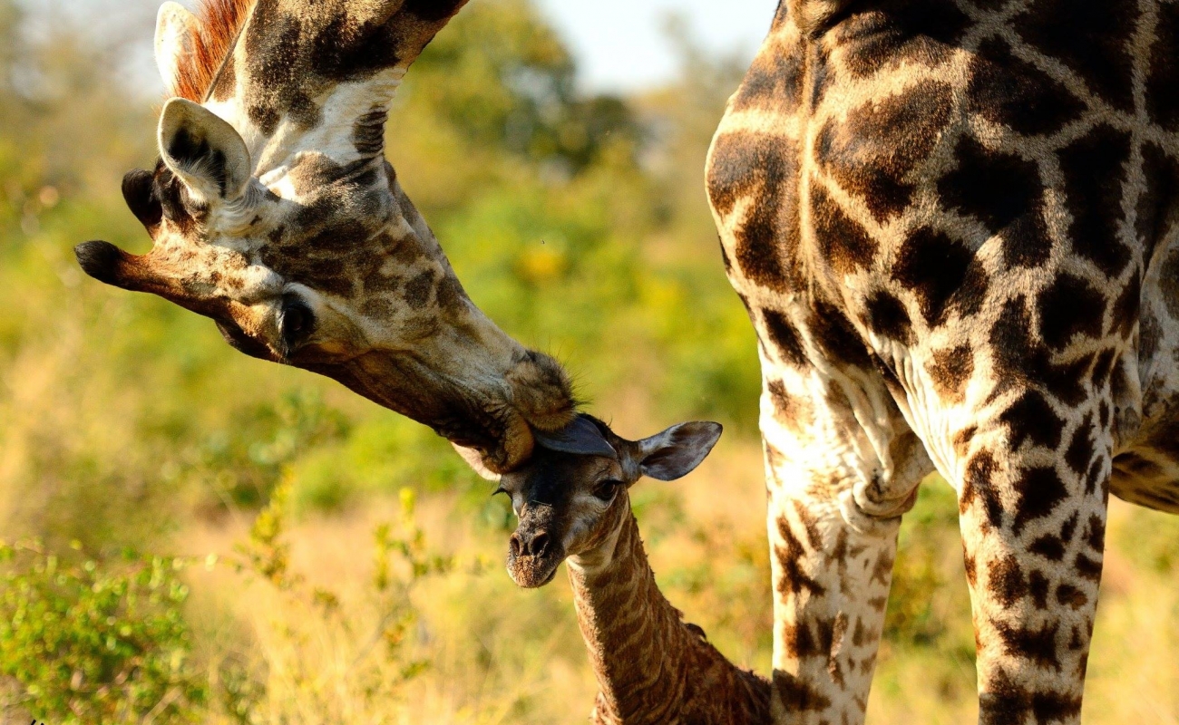 10379817_578641435586439_6084622670838883314_o