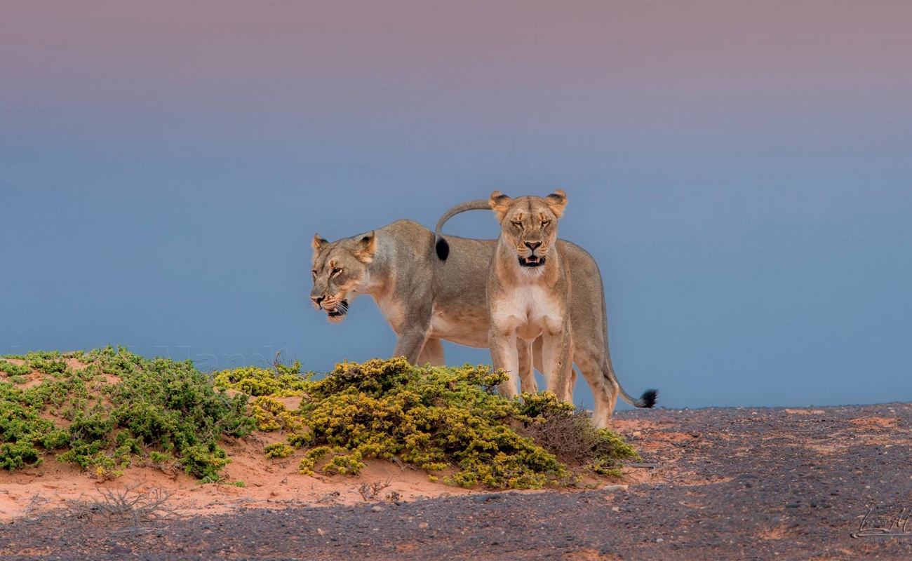 10460843_959959450758813_3491567109135067585_o