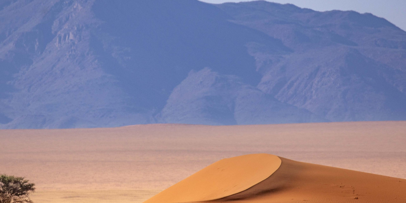 17-kwessi-dunes-oryx-in-the-namibrand
