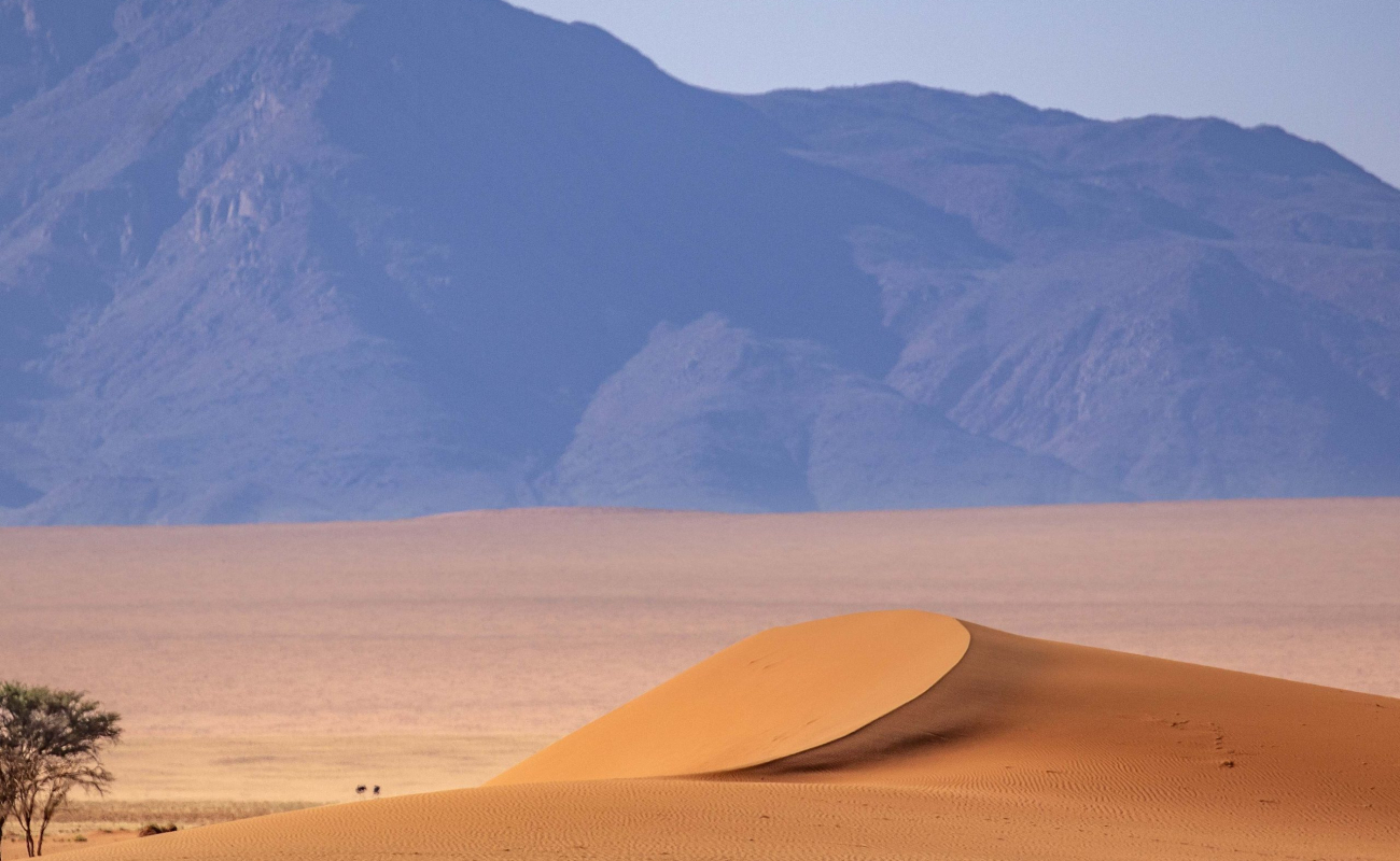17-kwessi-dunes-oryx-in-the-namibrand