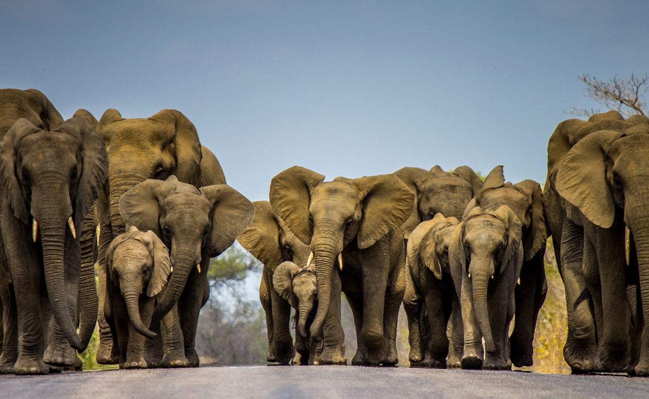 1920989_10151963674856400_475537624463409657_o