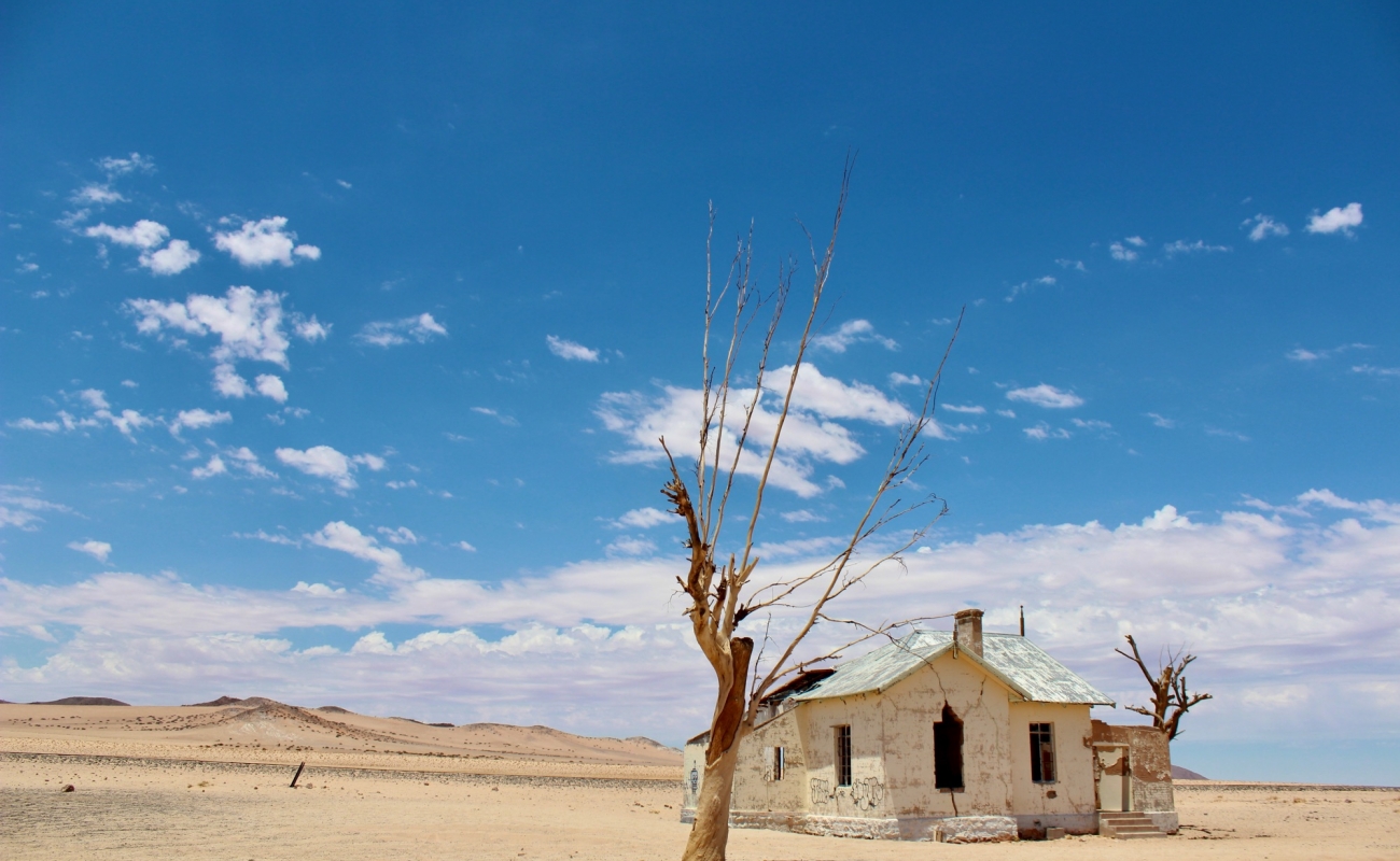 82853193-b78c-446a-a91b-9e0009b8e3b2_1_201_a