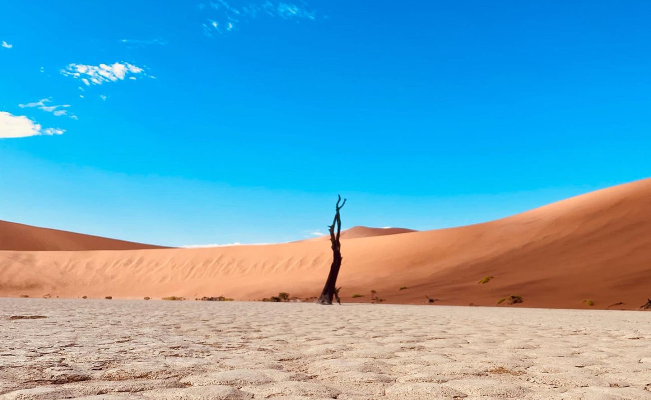 c33ff4db-24fd-46e5-aa4d-18b4d029573f