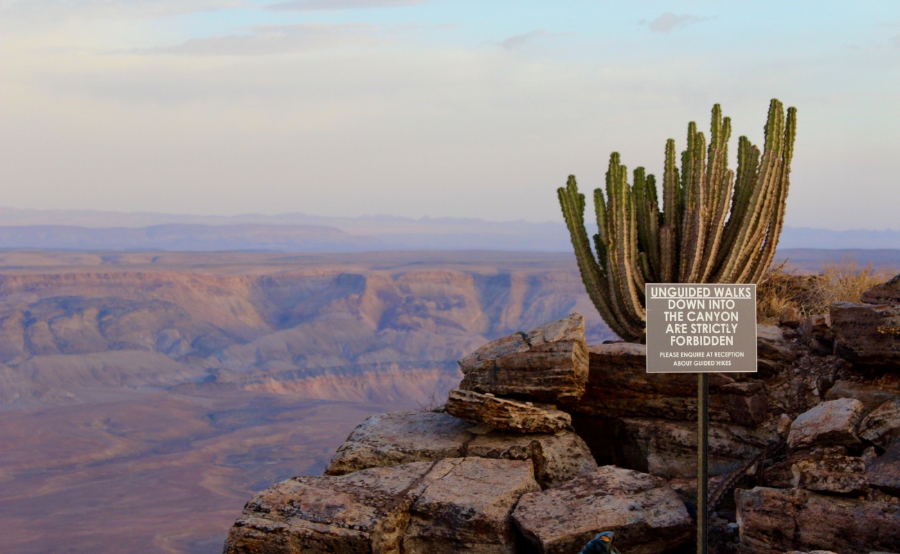 e32f5a71-8229-4f1f-8ab3-ee8b1eded357_1_201_a