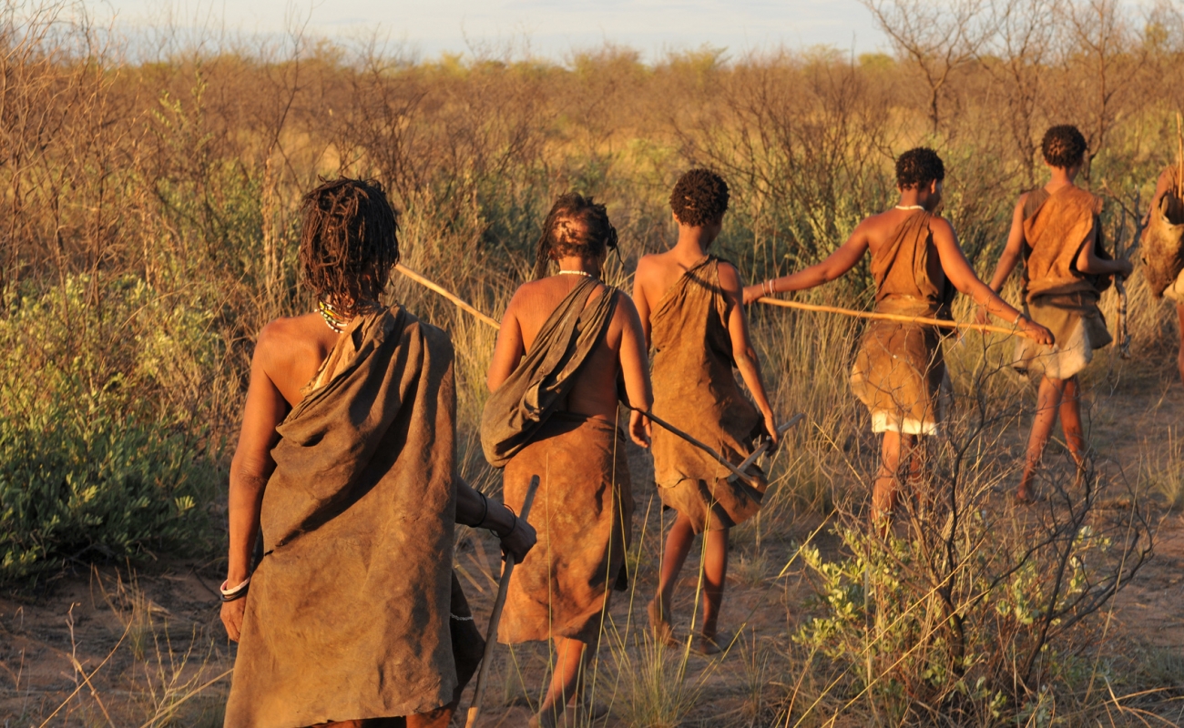 bushmen in the kalahari