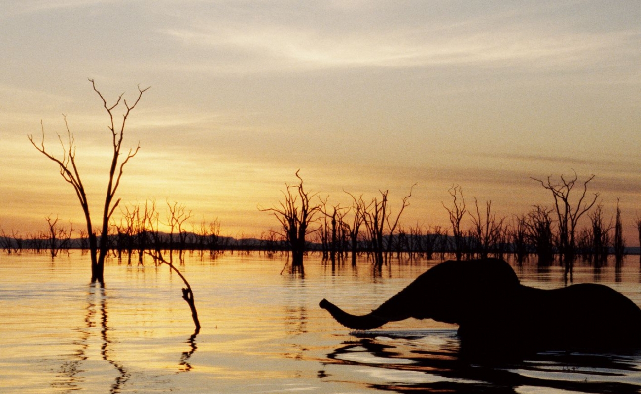 gettyimages-10174841-591c9e2e3df78cf5fae1be51