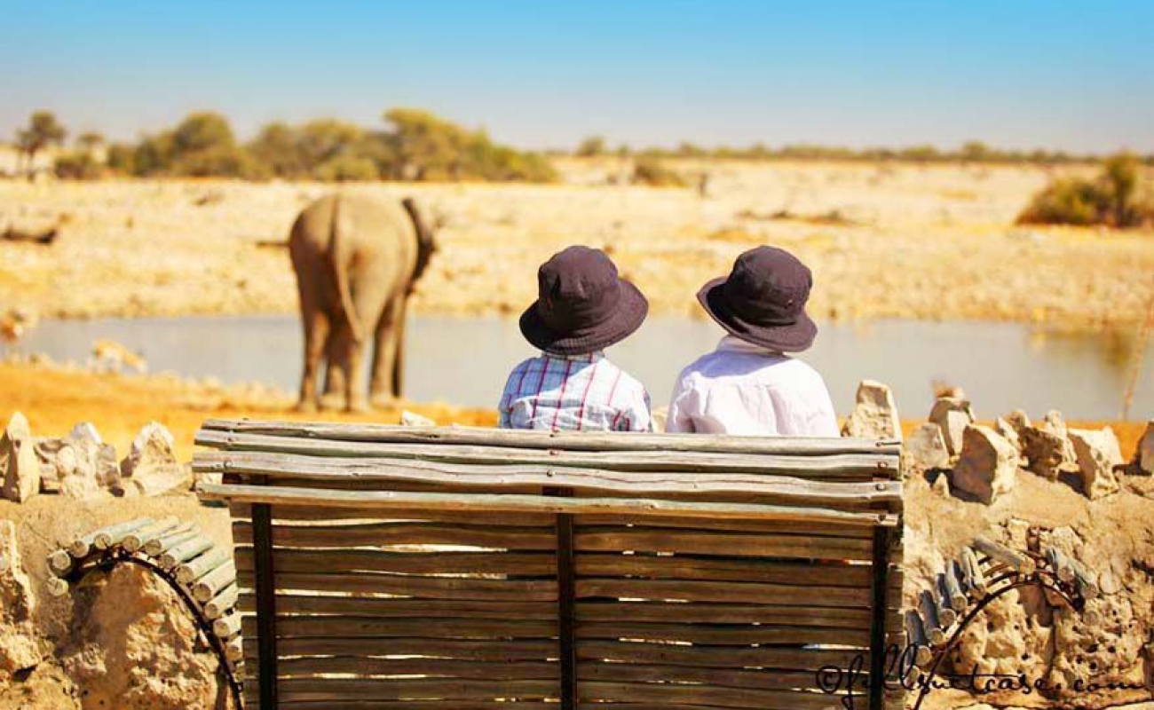 kids-at-okaukuejo-waterhole-etosha-878×586.jpg.optimal