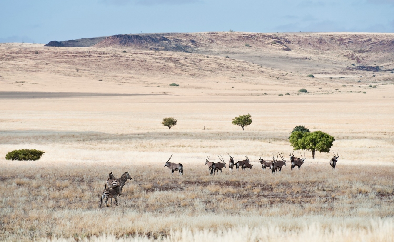 rhino_camp_wildlife_mm_2011_11