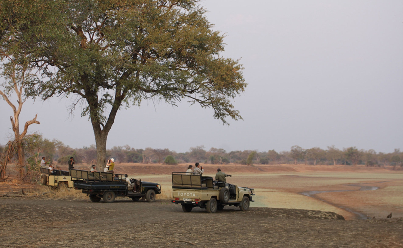 safari-organizzati-in-africa-sundowner-south-luangwa-photo-by-african-view-tours-and-safaris