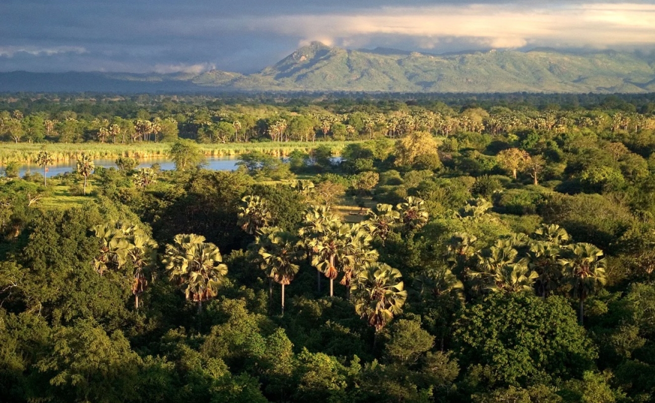 schermata-2021-04-02-alle-15.56.31