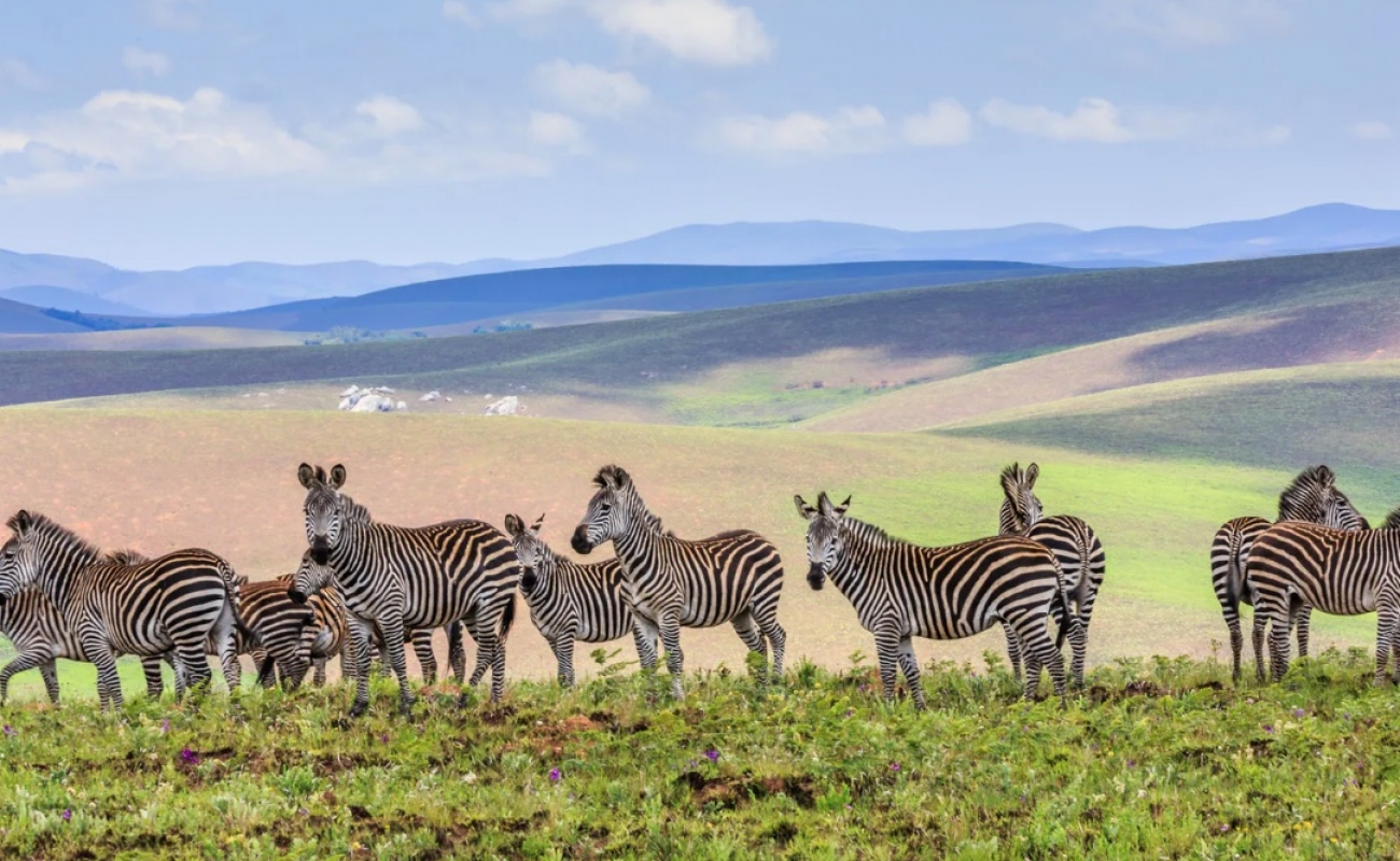 schermata-2021-04-02-alle-15.58.53