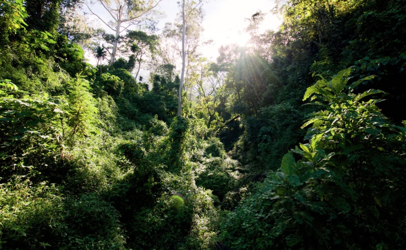 schermata-2021-04-02-alle-15.59.02