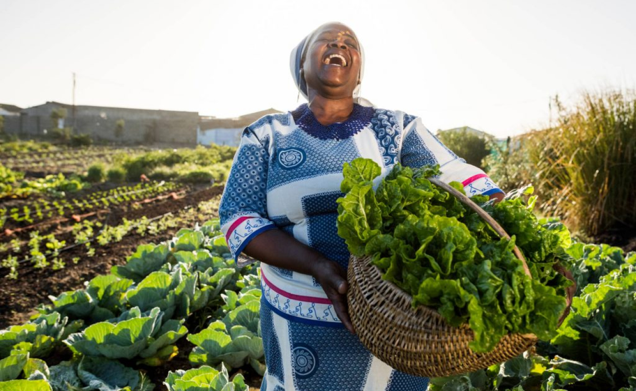 vegetable-garden-and-african-woman-with-spinach-1024×728